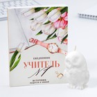 Набор: ежедневник А6, 120 листов и фигурная свеча «Учителю, который вдохновляет» 9602065 - фото 16188329