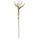 Цветок из фоамирана «Лотос летний», высота 89 см - Фото 1
