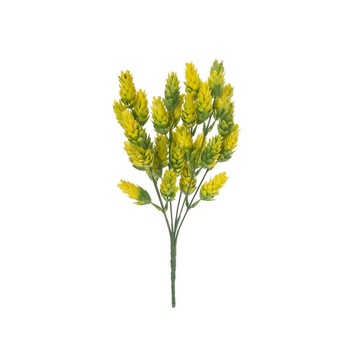 Искусственный цветок «Хмель», высота 30 см, цвет зелёный - Фото 1