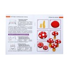 Пластика-полимерная глина запекаемая набор, BRAUBERG, 50 цветов х 20 г, с аксессуарами - фото 24342731