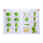 Пластика-полимерная глина запекаемая набор, BRAUBERG, 50 цветов х 20 г, с аксессуарами - фото 24342732