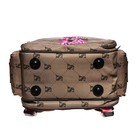 Рюкзак школьный 37 х 28 х 13 см, эргономичная спинка, Across 557, бежевый CS23-557-4 - фото 22990010