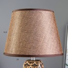 Лампа настольная 16445/1WT E14 40вт бронза 22х22х34 см RISALUX - Фото 5