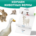 Книга по методике Г. Домана «Животные фермы», на казахском языке - Фото 3