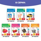 Книга по методике Г. Домана «Одежда», на казахском языке - Фото 6