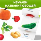 Книга по методике Г. Домана «Овощи», на казахском языке - Фото 3
