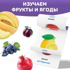 Книга по методике Г. Домана «Фрукты и ягоды», на казахском языке - фото 4003160