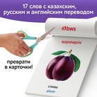 Книга по методике Г. Домана «Фрукты и ягоды», на казахском языке - фото 10928195