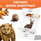Книга по методике Г. Домана «Дикие животные», на казахском языке - фото 3907351