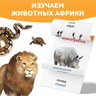 Книга по методике Г. Домана «Животные Африки», на казахском языке - фото 3907357