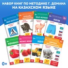 Набор книг по методике Г. Домана на казахском языке, 8 шт. 9828800 - фото 19890201