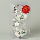Набор шаров пластик d-10 см, 2 шт "Карнавал" веточка снег палочки - Фото 2