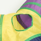 Туннель для кошек шуршащий «Рогатка», 85×25 см, разноцветный - Фото 5