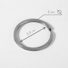 Кольцо для брелока, плоское, d = 30 мм, толщина 2 мм, 10 шт, цвет серебряный - Фото 2