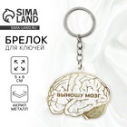 Брелок для ключей акриловый «Выношу мозг», 5 х 6 см - Фото 1