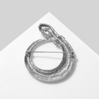Брошь «Змея» кольцо, цвет сине-белый в серебре - фото 7197417