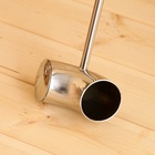 Ковш - черпак для бани и сауны «Рожок», нержавеющая сталь, 150 мл, деревянная ручка 9718715