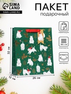 Пакет подарочный новогодний ламинированный «Новогодние котики», люкс 26×32×12 см - Фото 1