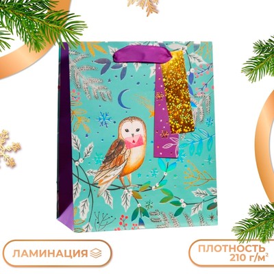 Пакет подарочный новогодний ламинированный «Зимняя совушка», люкс 18×22.3×10 см