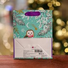 Пакет подарочный "Зимняя совушка", люкс 18 х 22,3 х 10 см - Фото 2