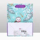 Пакет подарочный "Зимняя совушка", люкс 18 х 22,3 х 10 см - Фото 4