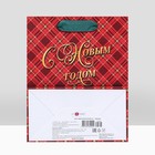 Пакет подарочный новогодний ламинированный «С Новым годом », клетка, люкс 18×22.3×10 см - Фото 2