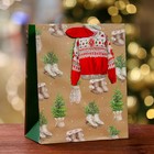 Пакет подарочный новогодний ламинированный «Подарок для тебя», люкс 18×22.3×10 см - Фото 1
