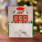 Пакет подарочный "На праздник ", люкс 18 х 22,3 х 10 см 9830408