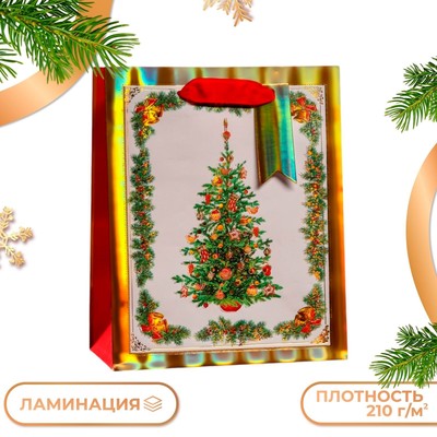 Пакет подарочный новогодний ламинированный «Новогодняя красавица », люкс 18×22.3×10 см Новый год