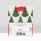 Пакет подарочный "Ёлочки", люкс  11,5 х 14,5 х 6,5 см - фото 22747982