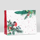 Пакет подарочный «Снегирь на праздник », 23?17.8?9.8 см (комплект 6 шт) - фото 22747989