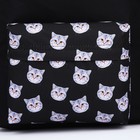 Рюкзак школьный текстильный «Коты», с карманом, цвет чёрный - Фото 5