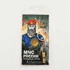 Набор монета и брелок «МЧС России», 8 х 14 см - фото 7363755