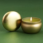 Свеча в цветной жестяной банке «Богатство», аромат ваниль, 6 х 6 х 4 см - фото 320111993