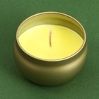 Ароматическая свеча в банке «Богатство», аромат ваниль, 6 х 6 х 4 см. - фото 8510567