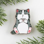 Значок новогодний в коробочке «Котик» 3,1 х 3,7 см - Фото 3