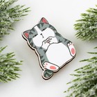 Значок новогодний в коробочке «Котик» 3,1 х 3,7 см - Фото 4