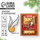 Значок новогодний в коробочке Magic winter, 4.2×2.5 см - Фото 1