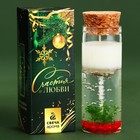 Новогодняя свеча в колбе «Счастья и любви», лёгкий аромат - фото 11043273