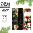 Свеча гелевая в колбе «Новый год: Счастья и любви», с декором внутри, 3×3×8 см - Фото 1