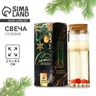 Свеча новогодняя гелевая «Жемчужина», с декором внутри, 2.9×2.9×8 см - Фото 1