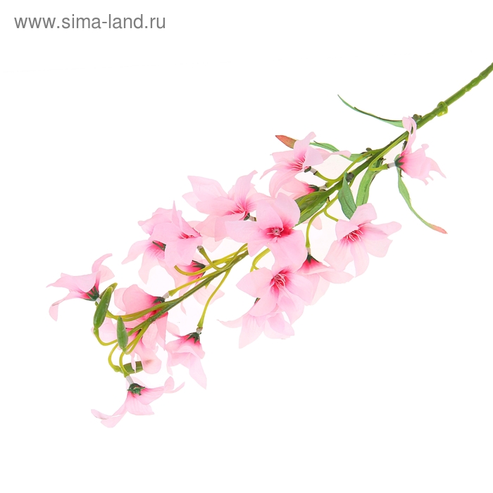 цветы искуственные  брандушка 80 см d-6 см розовый - Фото 1