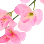 цветы искуственные орхидея зиг заг 90 см d-8 см розовый - Фото 2