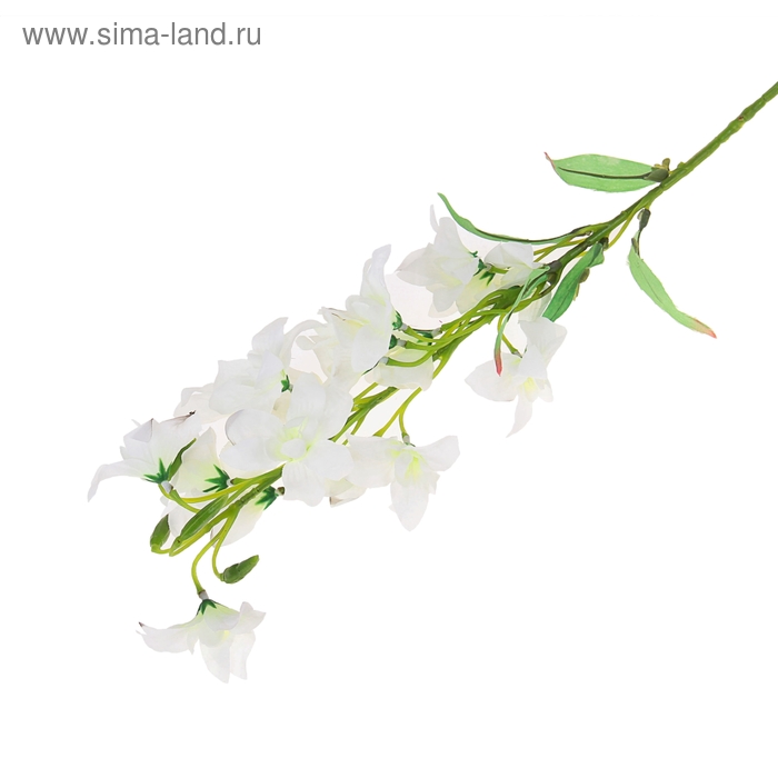 цветы искусственные  брандушка 80 см d-6 см белый - Фото 1