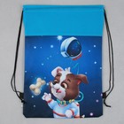 Мешок для обуви «Космический пушистик» (нетканый материал) 41×30 см - Фото 4