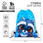 Мешок для обуви «Крошка енот» (нетканый материал) 41×30 см - Фото 1