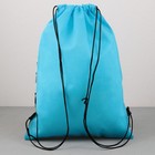 Мешок для обуви, Dinotime, (нетканый материал) 41×30 см - Фото 6