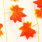 Декор «Гирлянда из листьев» длина: 2.4 м, ширина: 17 см, цвет красно-жёлтый - Фото 5