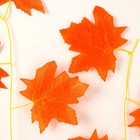 Декор «Гирлянда из листьев» длина: 2.4 м, ширина: 26 см, цвет красный - Фото 6