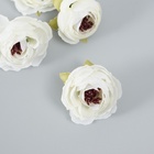 Бутон на ножке для декорирования "Пион Шарм" белоснежный 3,5х3,5 см 9765754